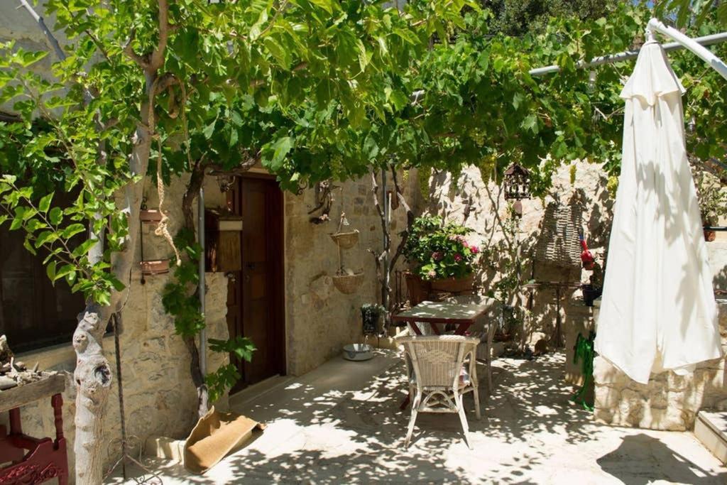 Villa Petite Olive House à Sitía Extérieur photo